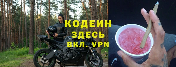 mdpv Бородино