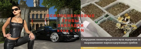 шишки Балахна