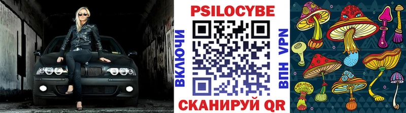 Галлюциногенные грибы Magic Shrooms  Дубна 