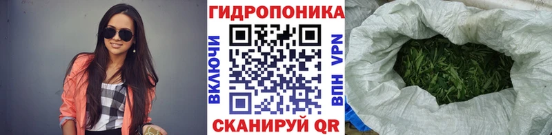 кракен как войти  наркота  Дубна  Каннабис планчик 